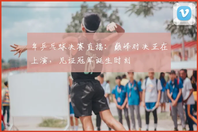 年乒乓球决赛直播:巅峰对决正在上演,见证冠军诞生时刻