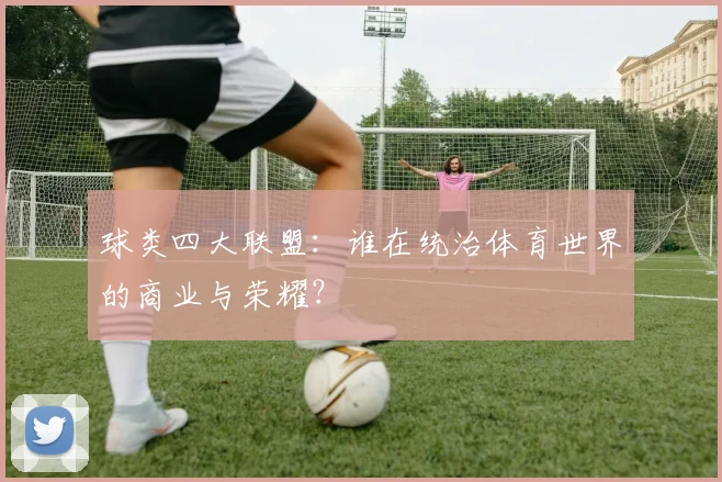 球类四大联盟：谁在统治体育世界的商业与荣耀？